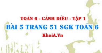 Bài 5 trang 51 SGK Toán 6 tập 1 Cánh Diều